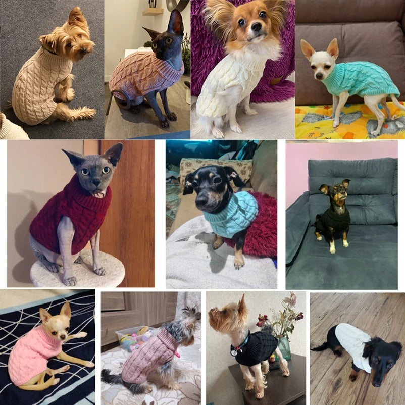 Cozy Turtleneck Sweater for Small Dogs