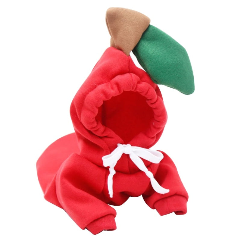 Cozy & Cute Chihuahua Sweaters