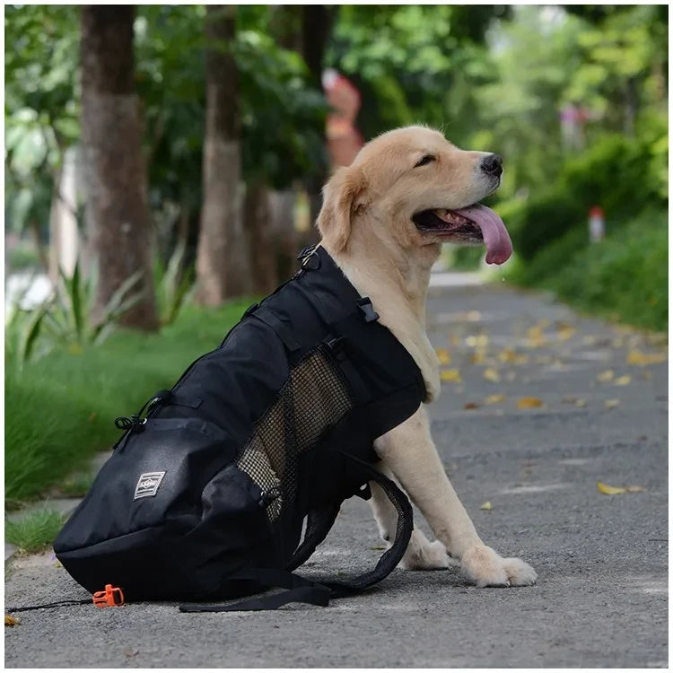 Pet Traveler Backpack