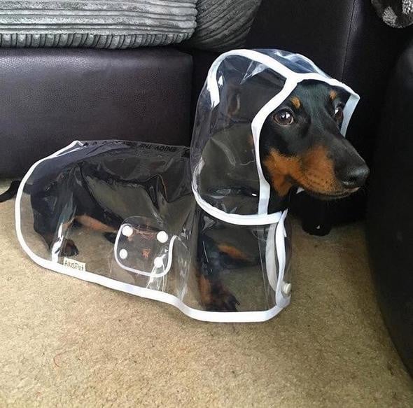 Dog Raincoat Waterproof