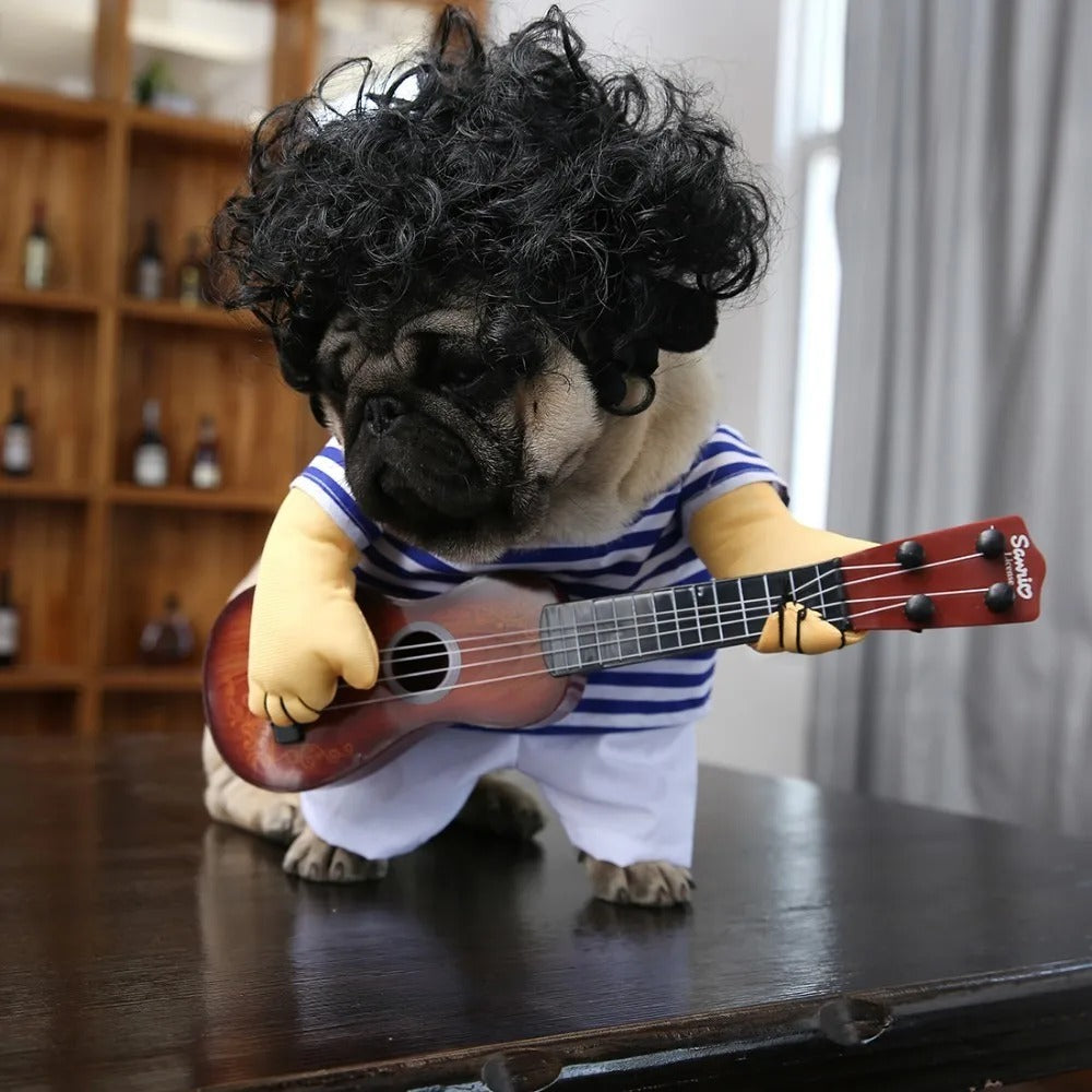 Pet Rockstar Costume