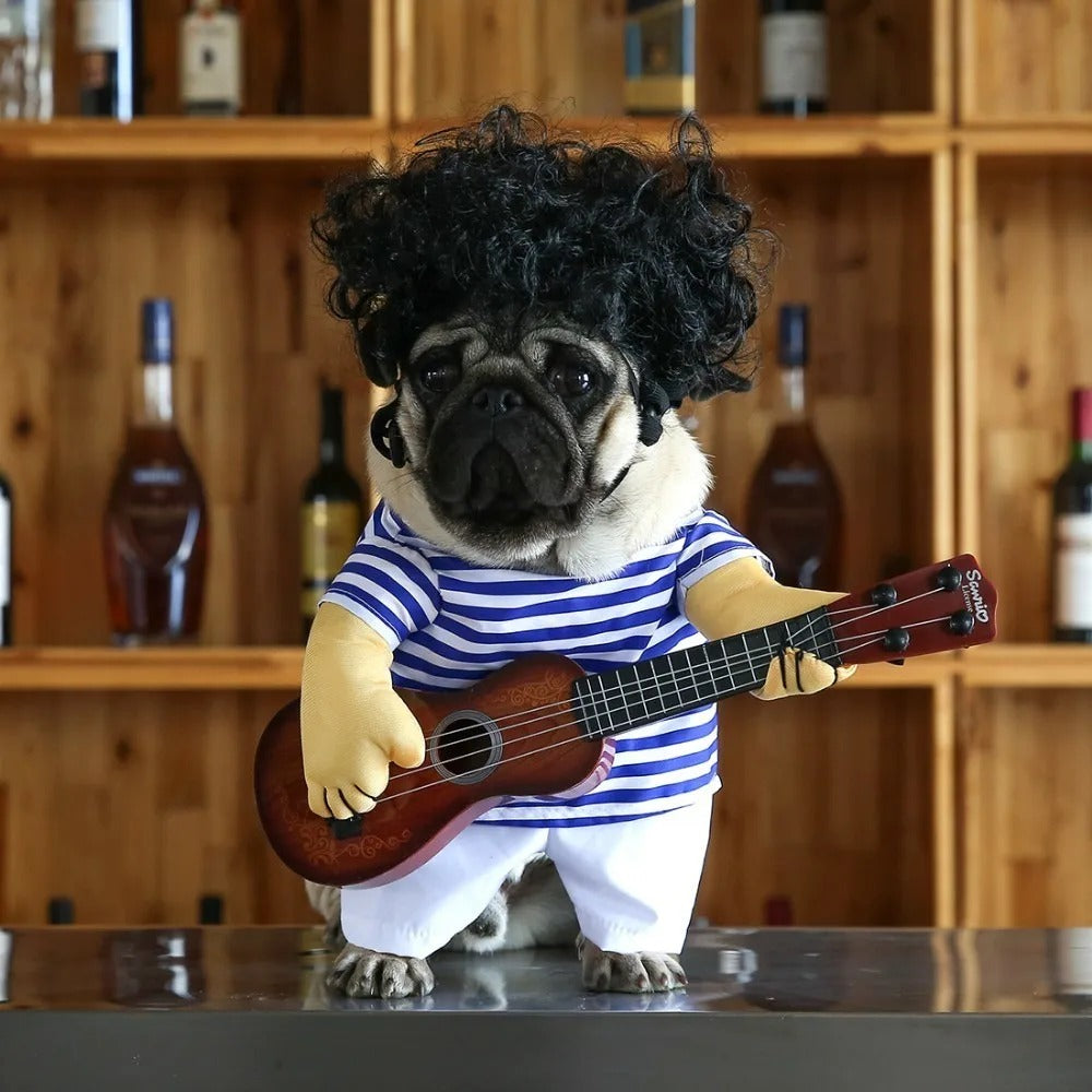 Pet Rockstar Costume