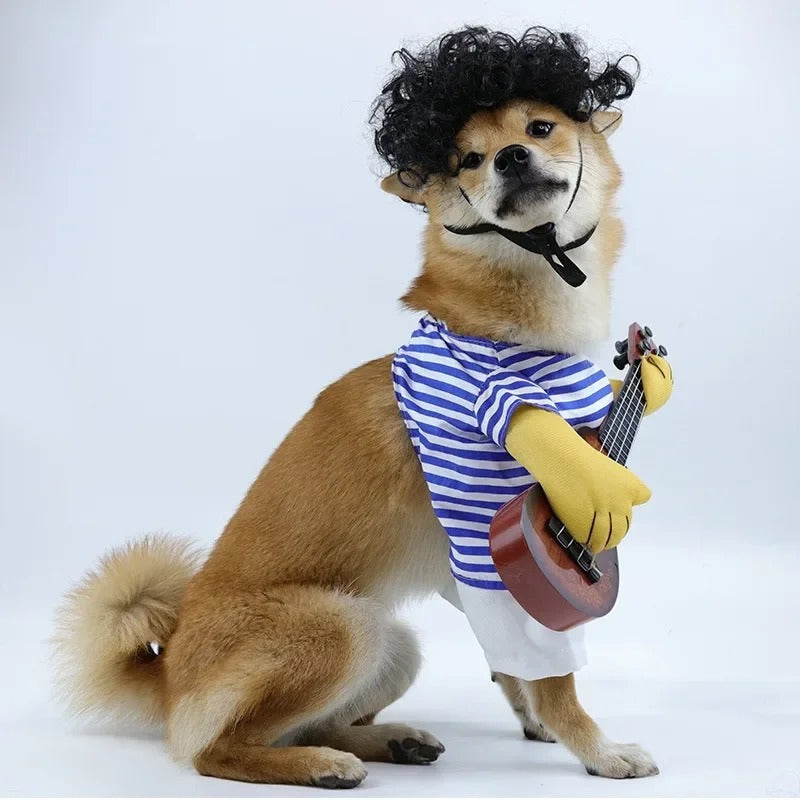 Pet Rockstar Costume