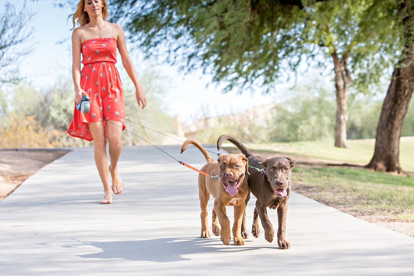 OmgMyDog Dual Doggie Retractable Leash – 2025 Edition 🐾🐾