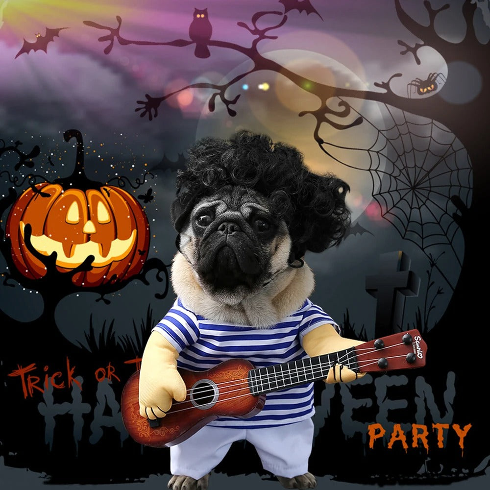 Pet Rockstar Costume
