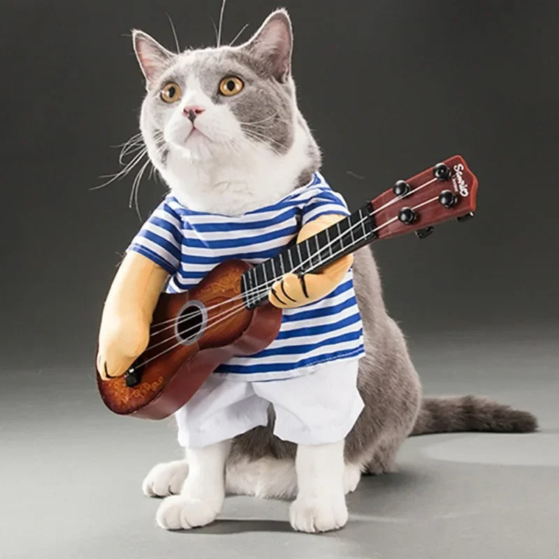 Pet Rockstar Costume