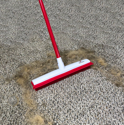 Hair Removal Broom™