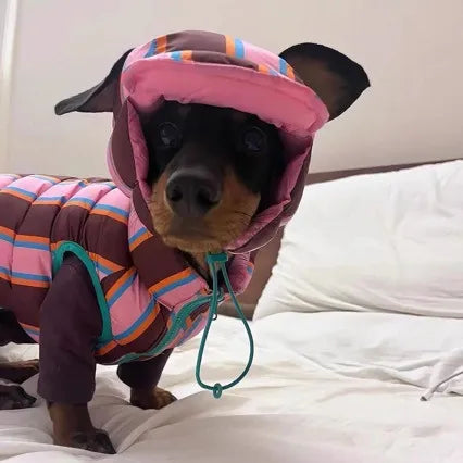 Reversible Wiener Dog Jacket