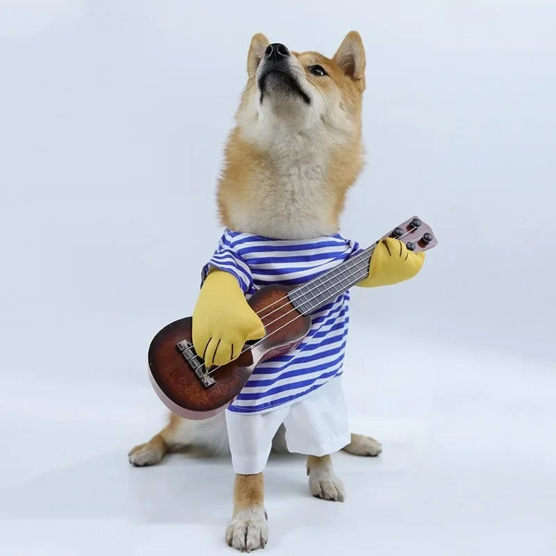 Pet Rockstar Costume