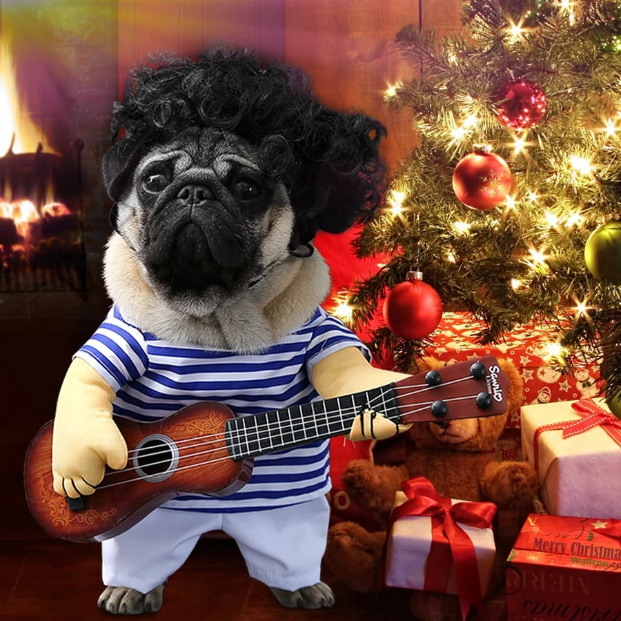 Pet Rockstar Costume