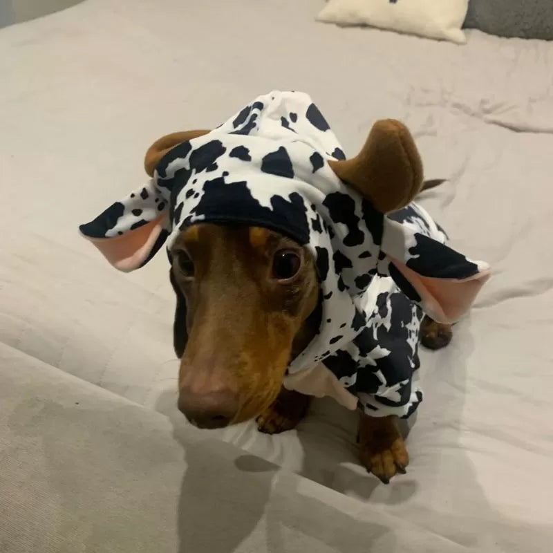 Cow Sausage Dog Pyjama