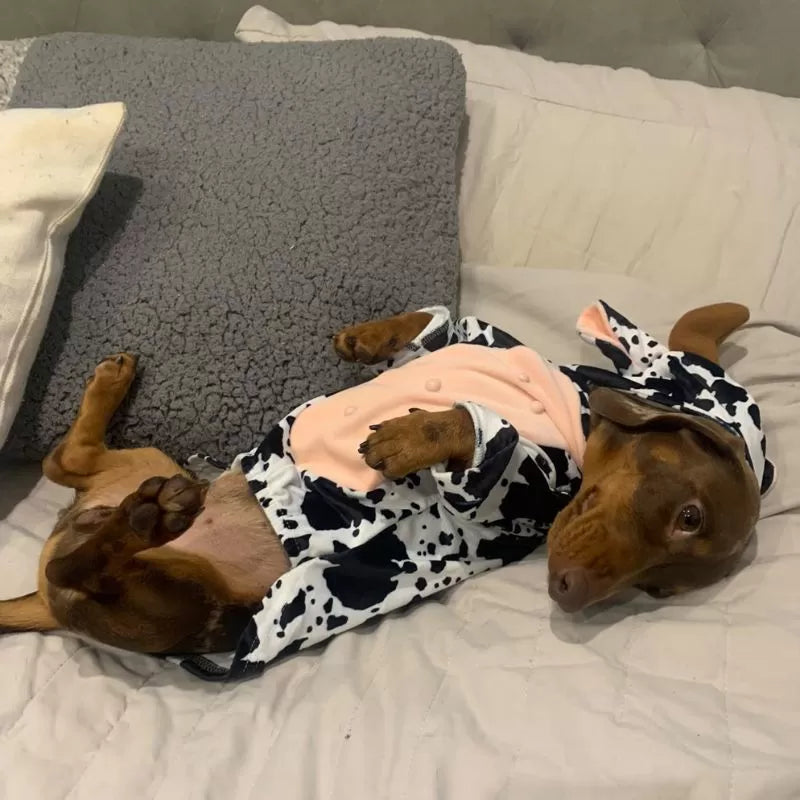 Cow Sausage Dog Pyjama