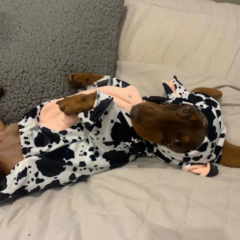 Cow Sausage Dog Pyjama