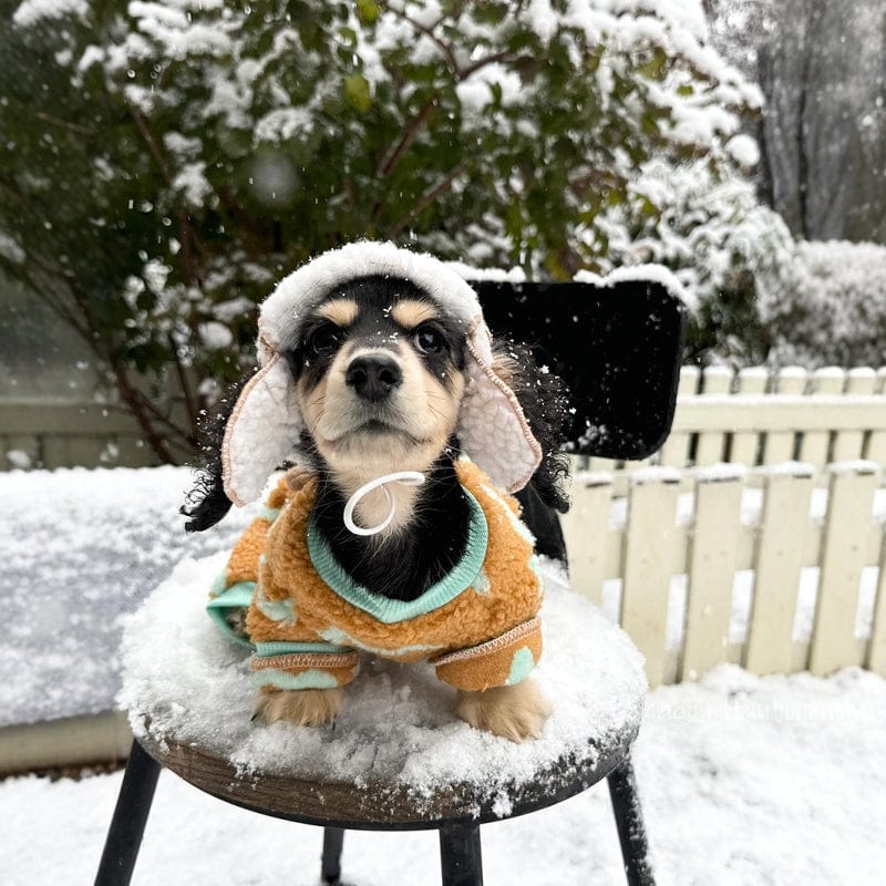 Dachshund Winter Hat