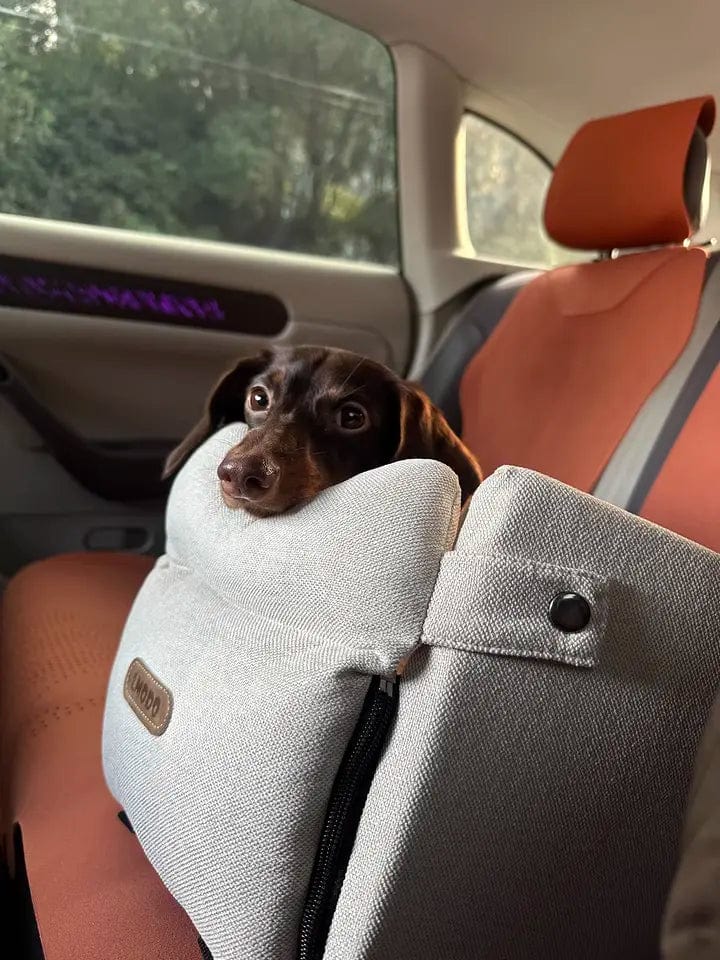 Luxury Console Dachshund Car Seat