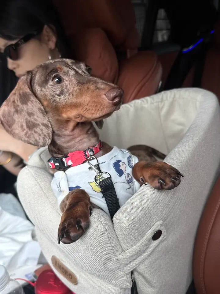 Luxury Console Dachshund Car Seat