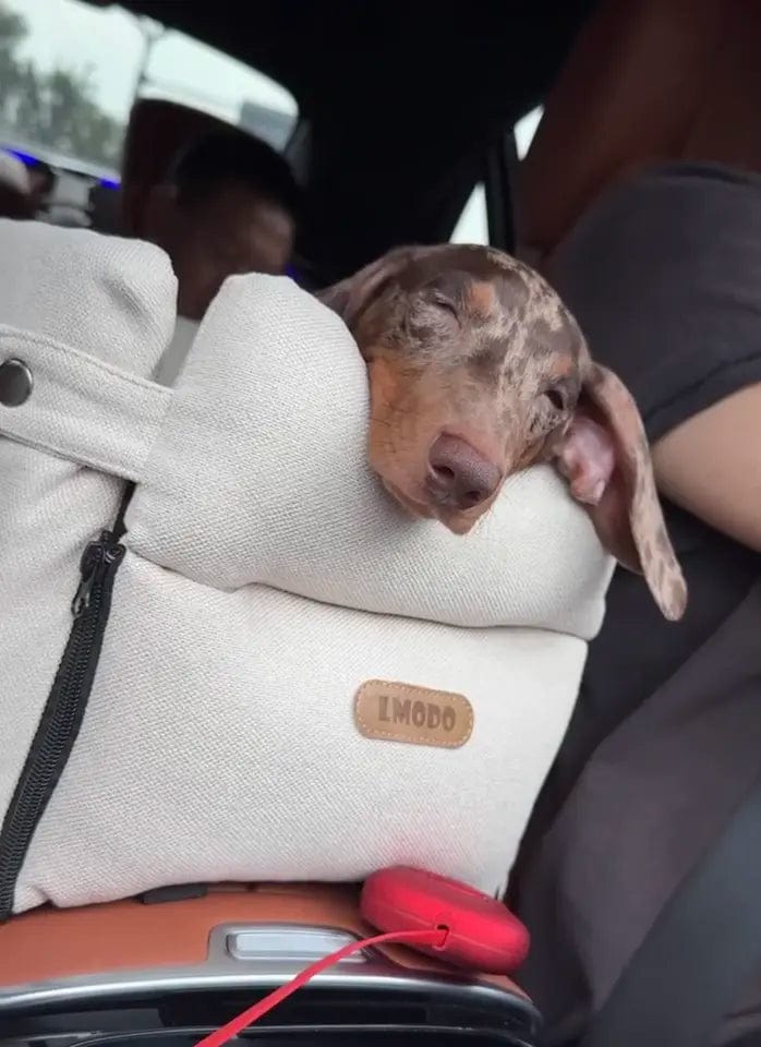 Luxury Console Dachshund Car Seat