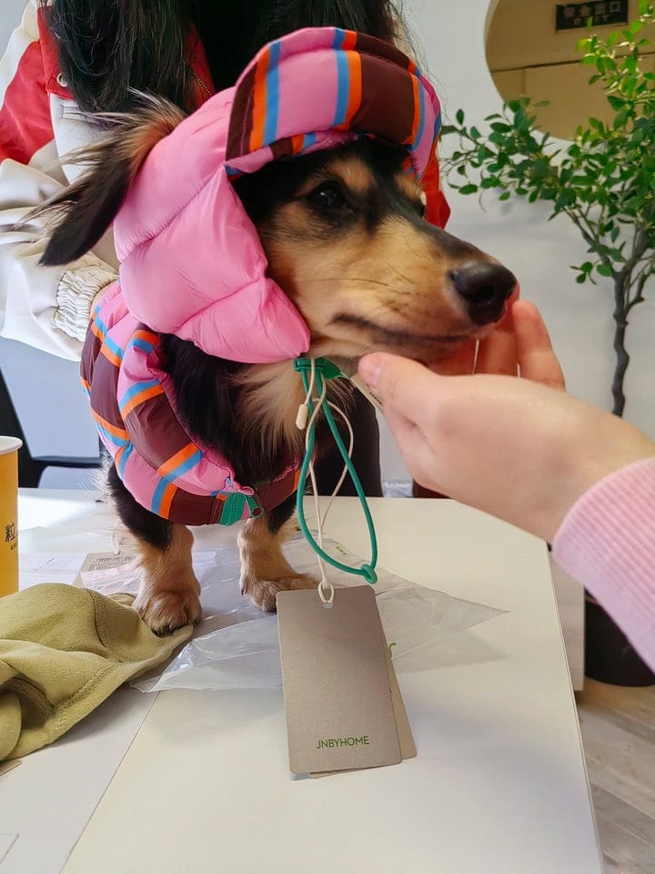 Reversible Wiener Dog Jacket