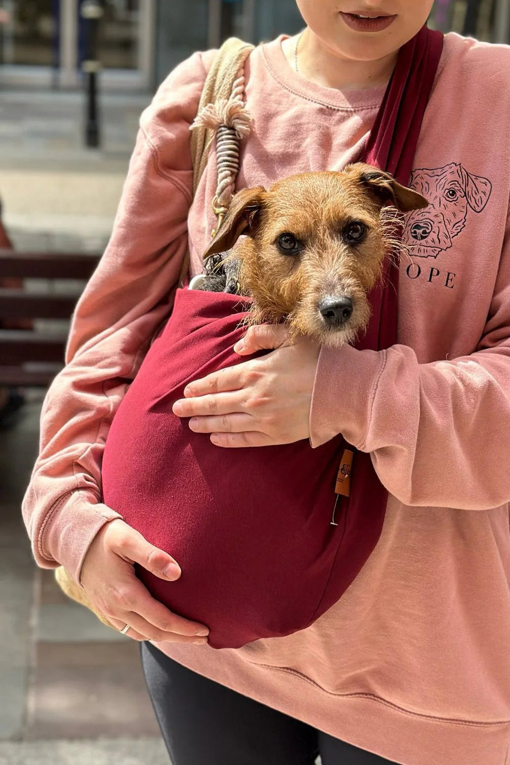 Pet Carrier Sling™