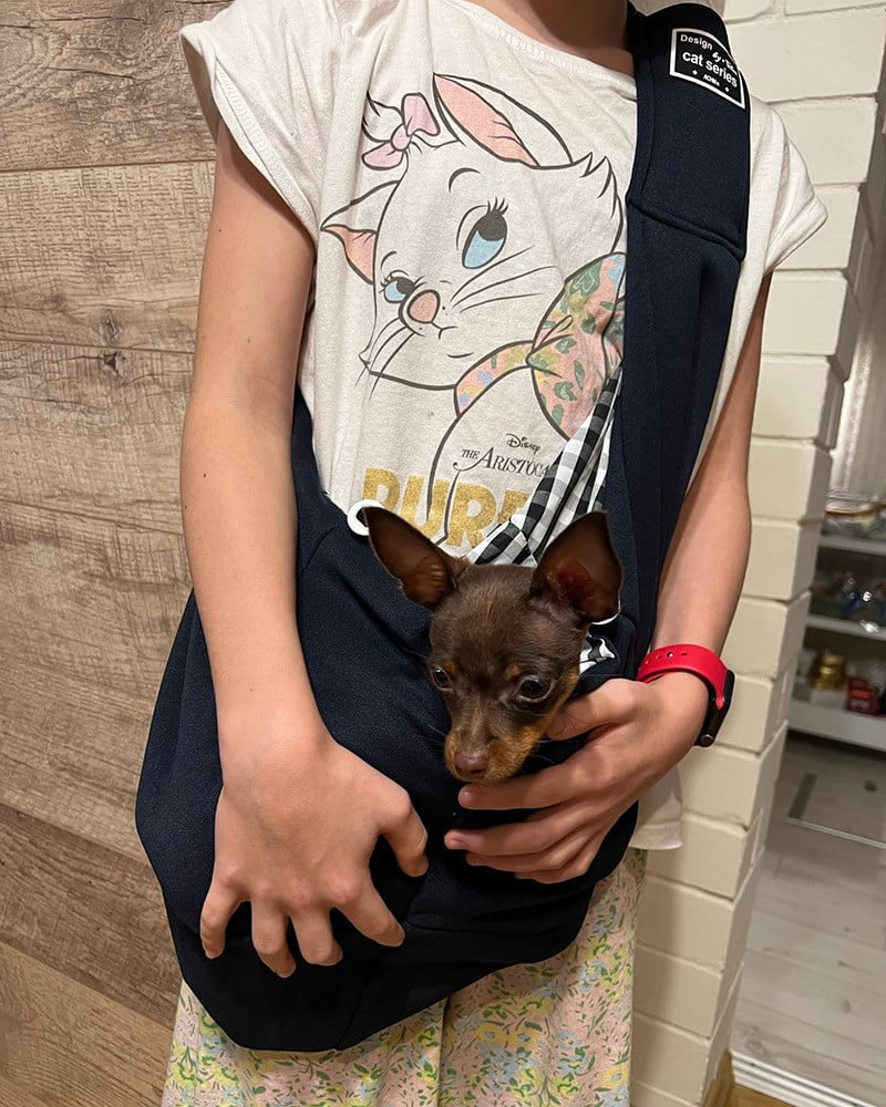 Pet Carrier Bag™
