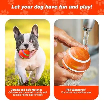 Shaky Ball Dog Toy