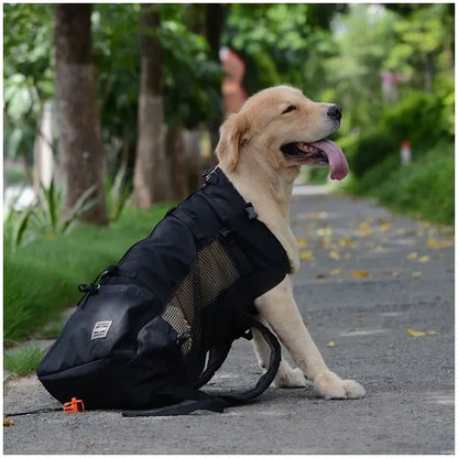 Pet Traveler Backpack