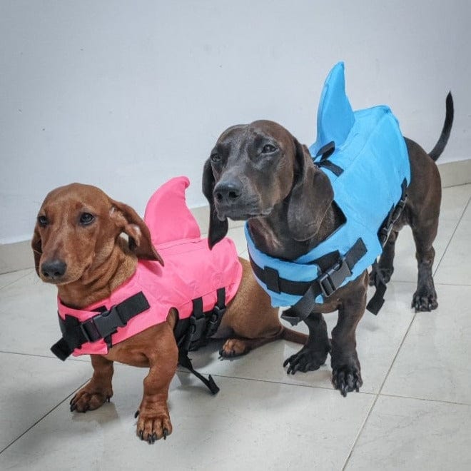 Shark Life Jacket For Dachshund