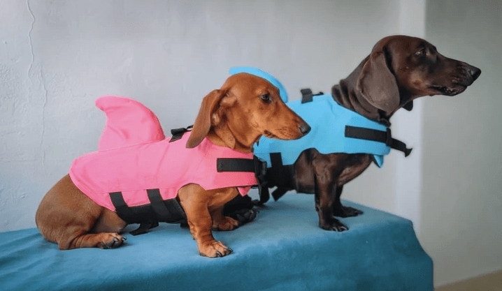 Cute Dachshund Crocs