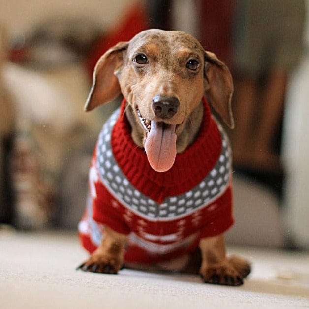 Dachshund Christmas Sweater