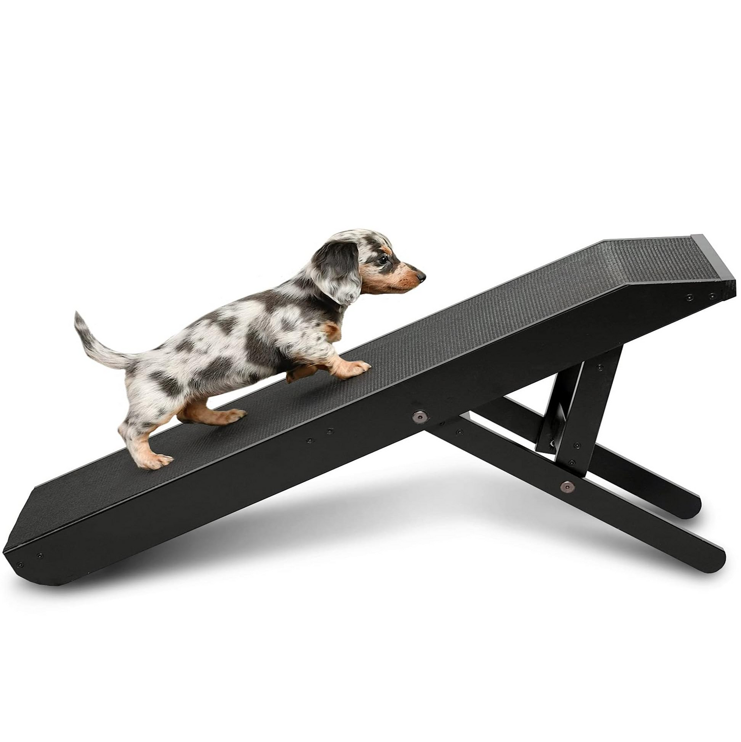 DachRamp™