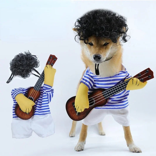 Pet Rockstar Costume