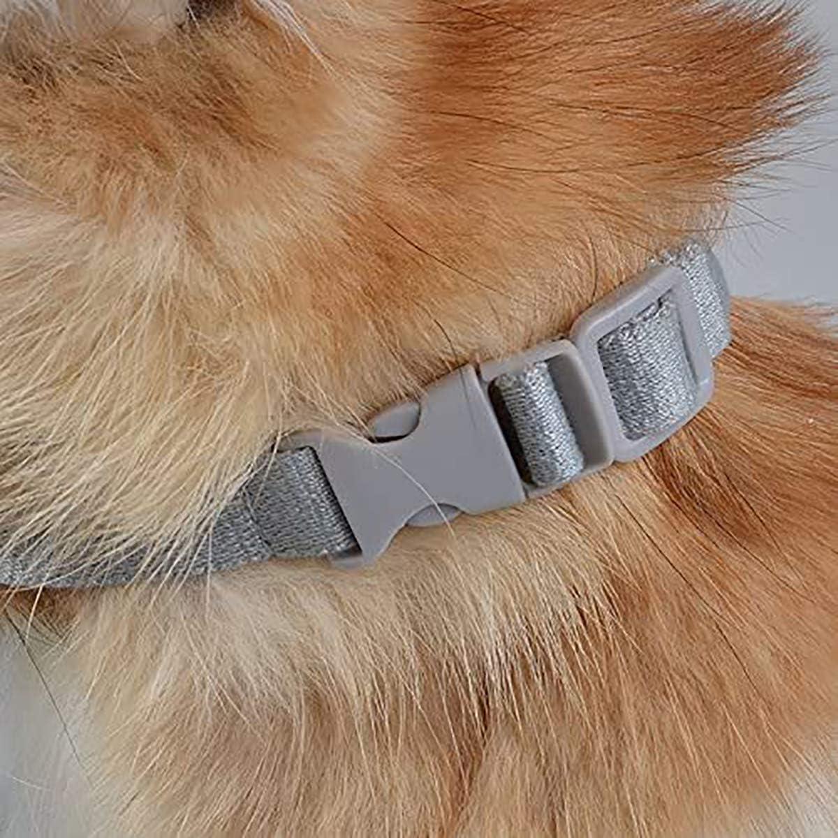 Duck Dog Muzzle™