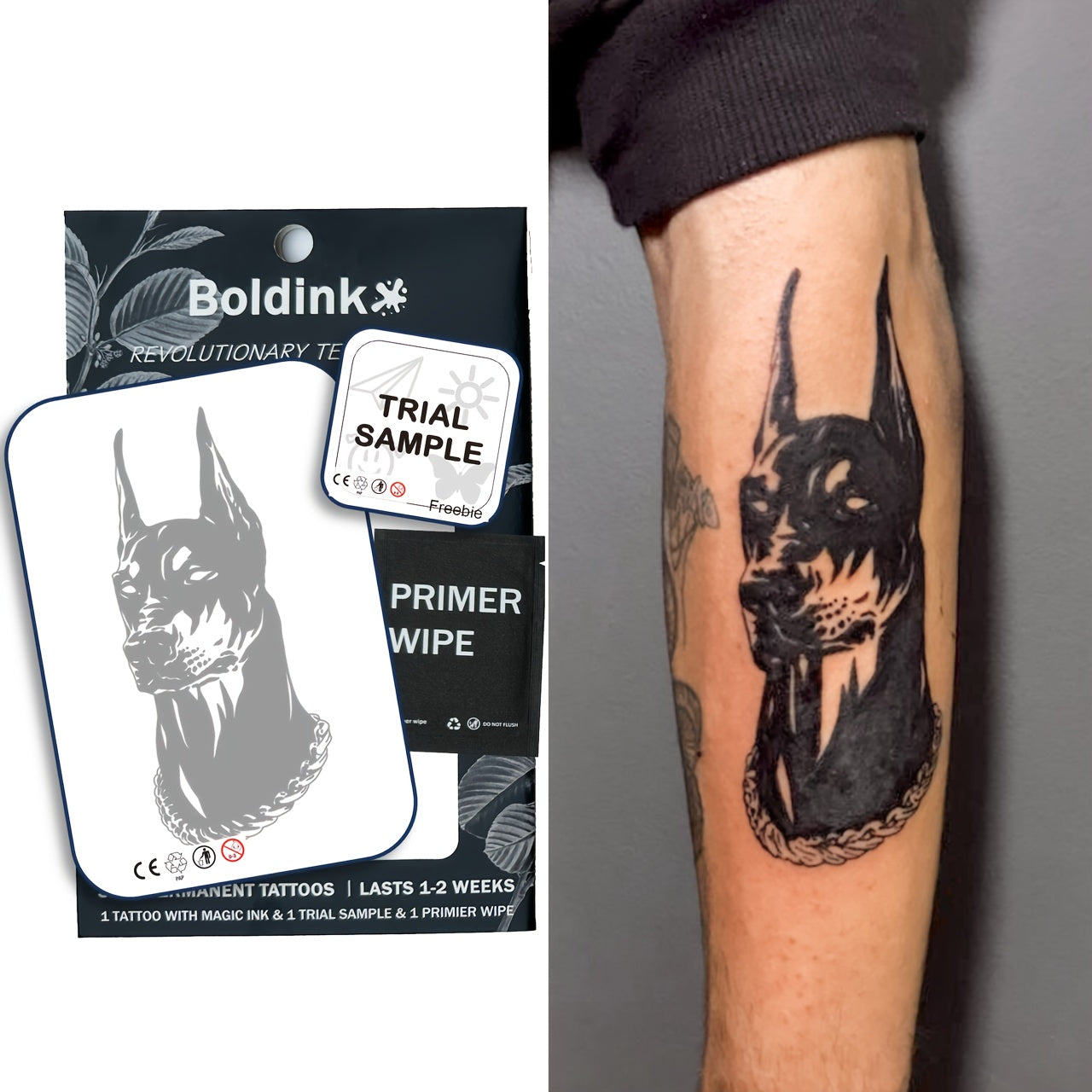 Doberman Dog Semi-Permanent Tattoos