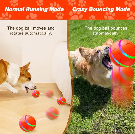 Shaky Ball Dog Toy