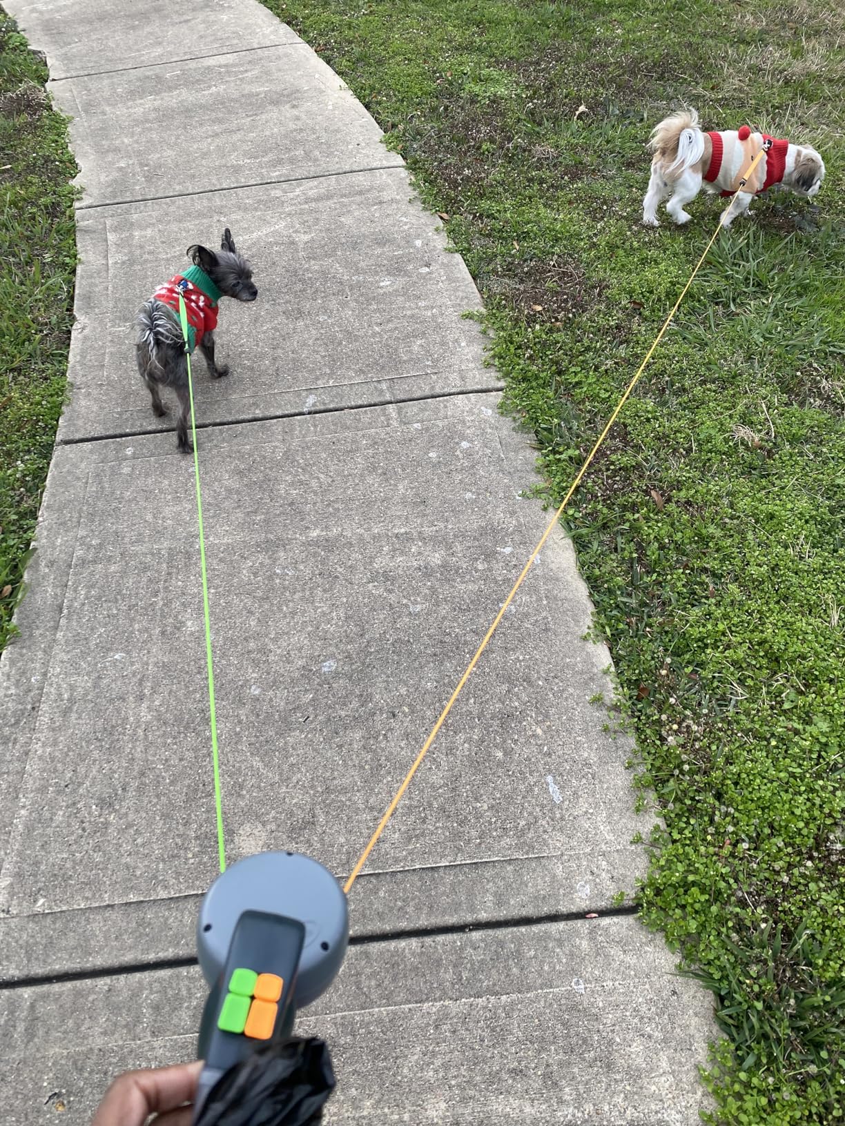 OmgMyDog Dual Doggie Retractable Leash – 2025 Edition 🐾🐾