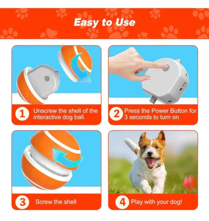 Shaky Ball Dog Toy