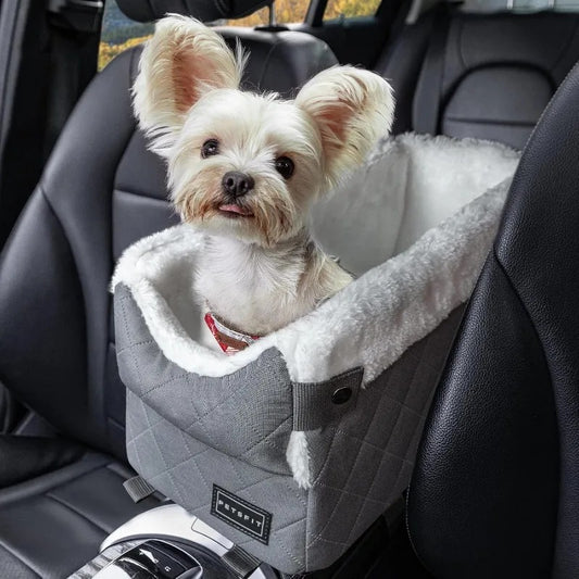 Center Console Dog Car Seat