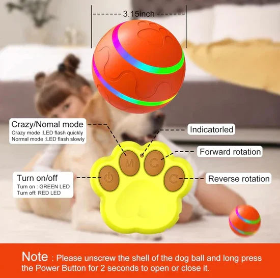 Shaky Ball Dog Toy