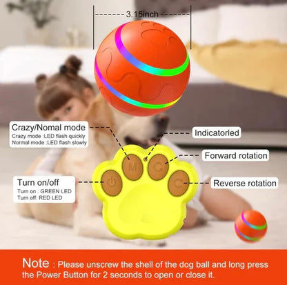 Shaky Ball Dog Toy