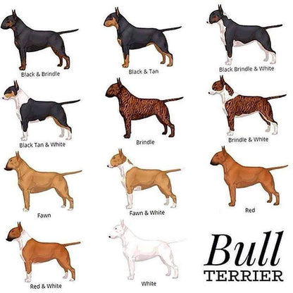 Bull Terrier Types Shirt