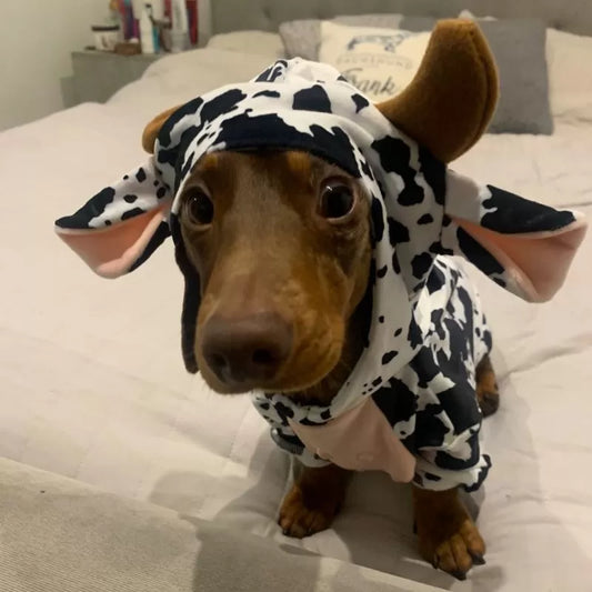Cow Sausage Dog Pyjama