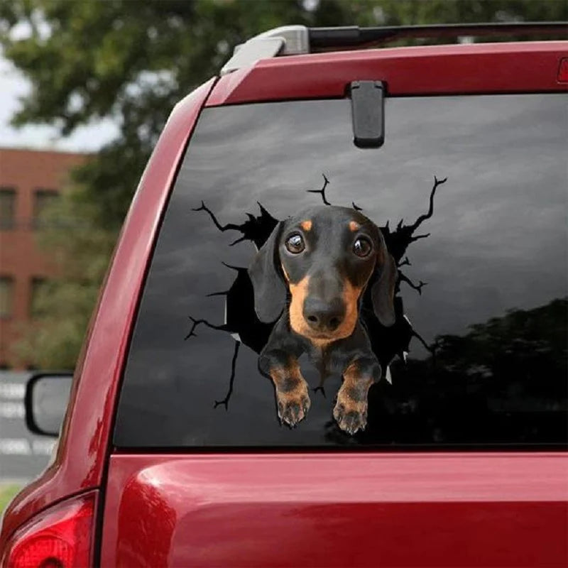 Dachshund Decal Car Stickers