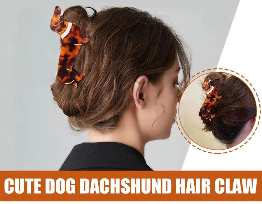 Dachshund Hair Claw