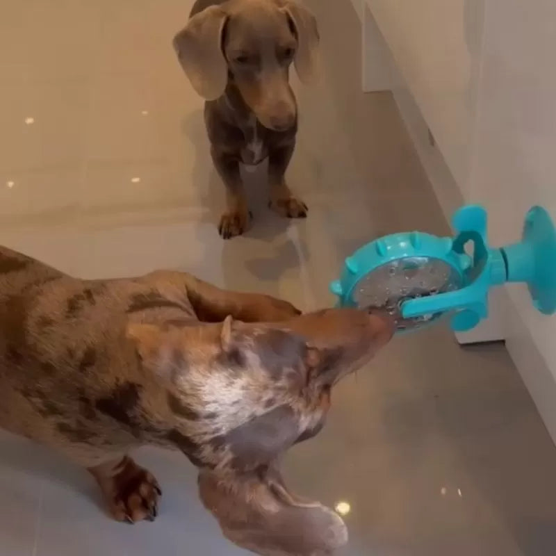 Dachshund IQ Feeder Toy