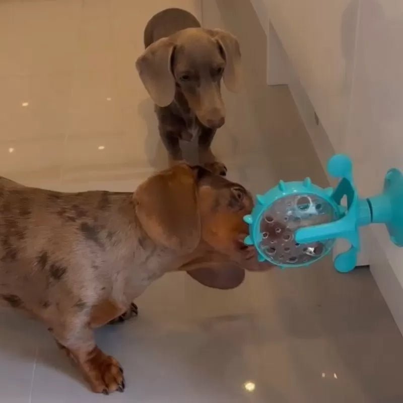 Dachshund IQ Feeder Toy