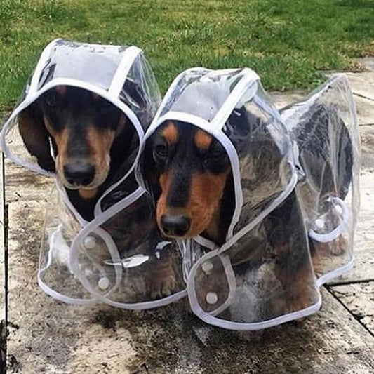 Dog Raincoat Waterproof