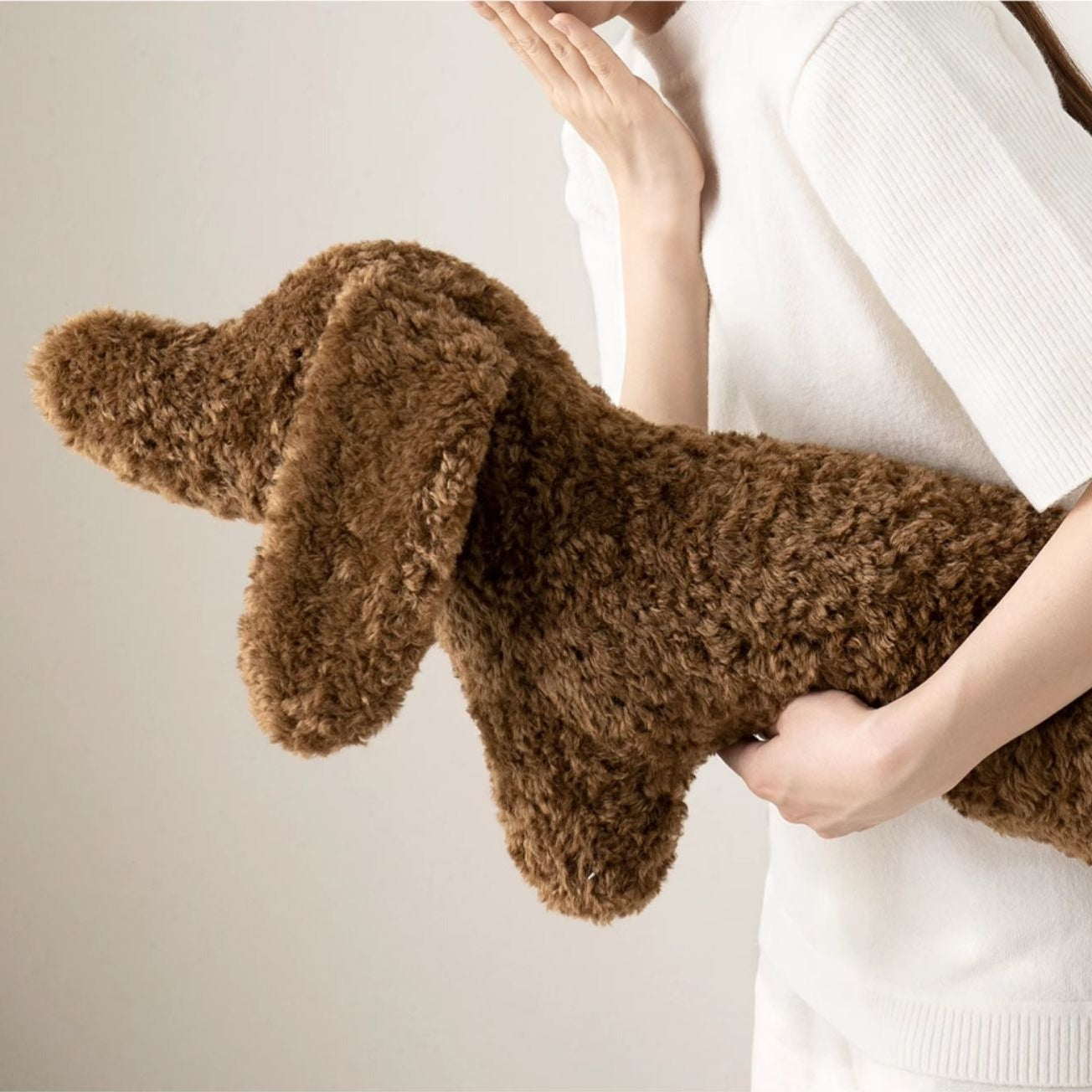 Teddy Dachshund Cushion