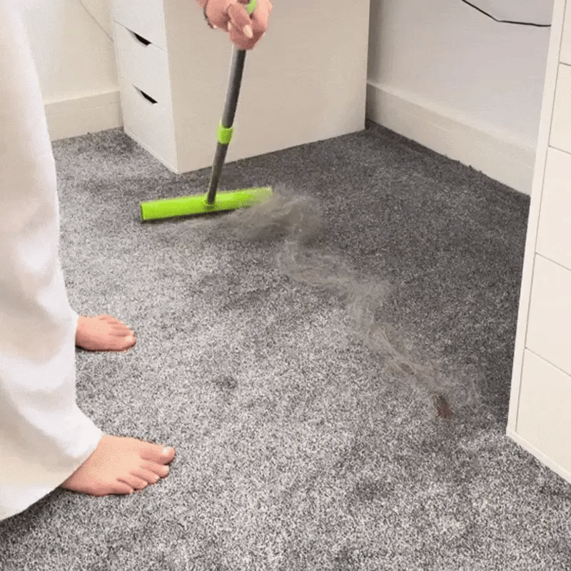 OmgMyDog™ | Rubber Broom