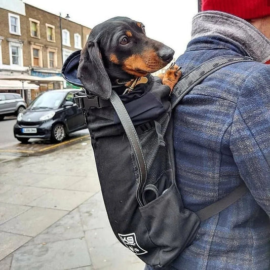 Pet Traveler Backpack