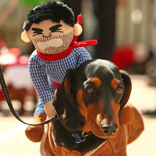 Funny Cowboy Costume for Dachshunds